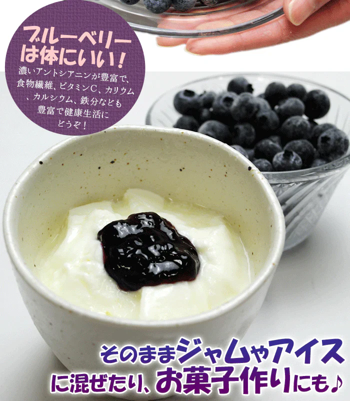東北産 冷凍ブルーベリー１kg