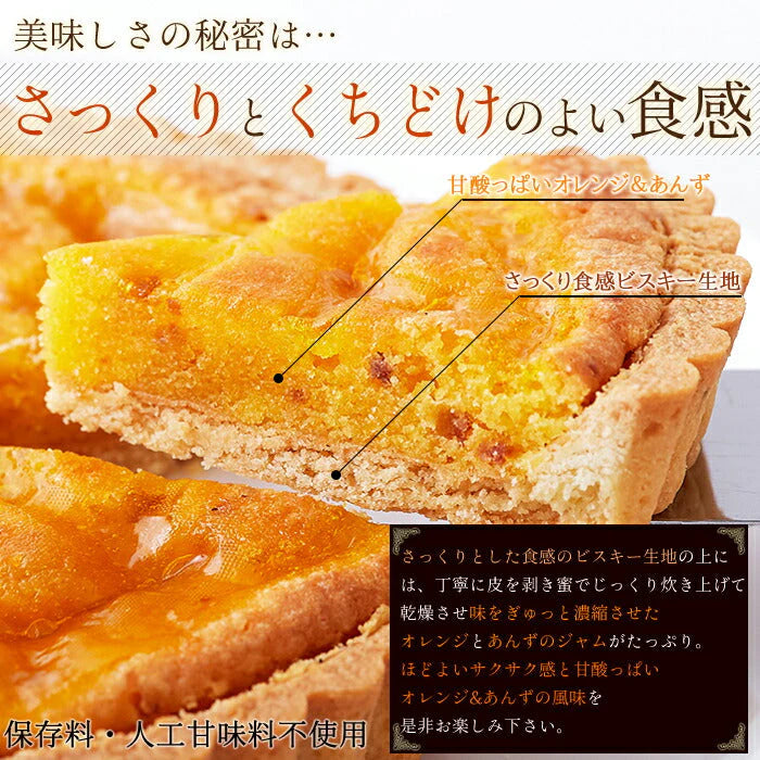 オレンジ と あんず の タルト ケーキ5号 甘酸っぱい味わいと香ばしいタルト生地が絶妙!!ネコポス