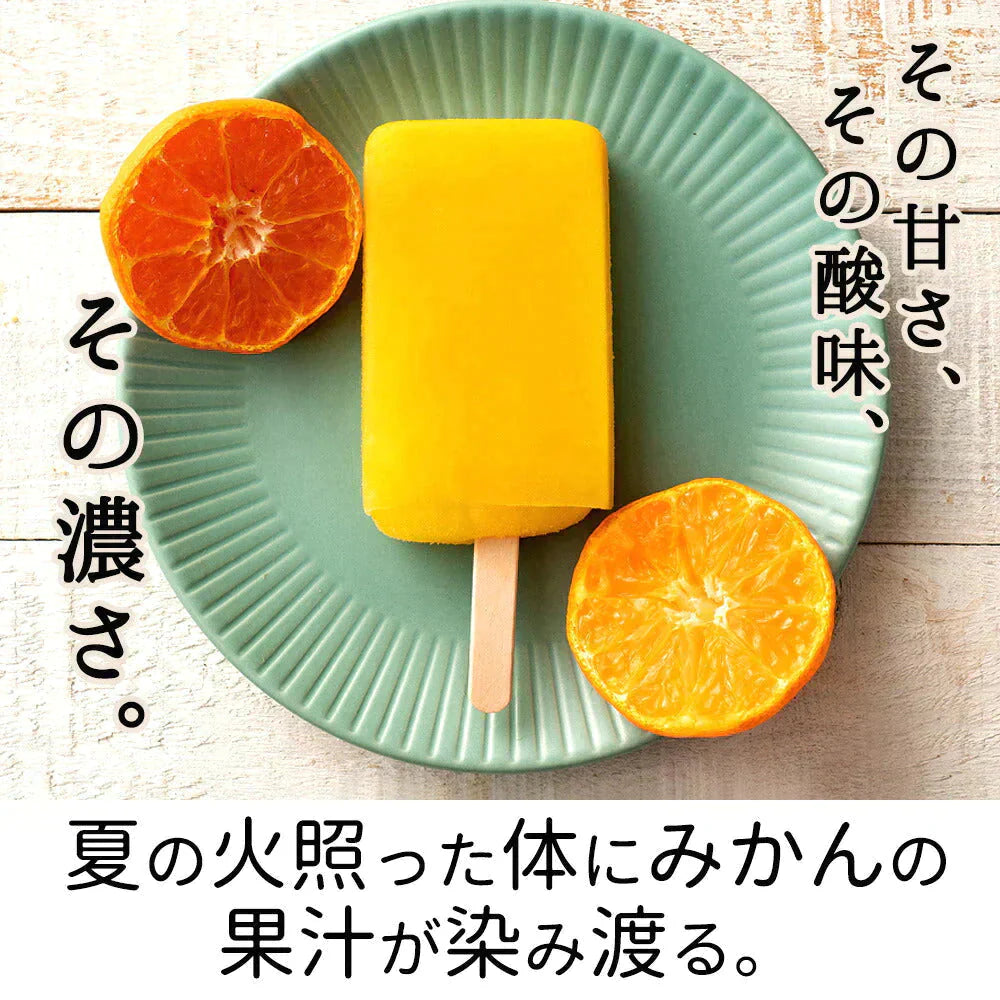 アイス ギフト みかん 100% 愛媛県産 冷やしみかん 合計20本 セット 無添加 砂糖不使用 アイスクリーム お取り寄せ スイーツ 詰め合わせ