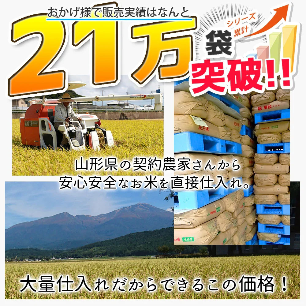 無洗米 30kg (5kg×6袋) こつぶ姫 国内産 送料無料 無洗米30キロ こめ コメ お米 精米 お米30kg お米30キロ