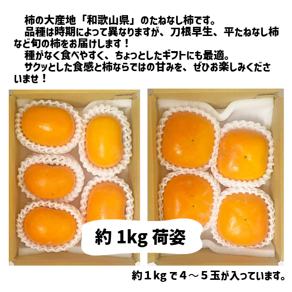 柿 和歌山県産 たねなし 約1kg (４〜５玉) ご家庭用 刀根 平たねなし 種無し 平核無柿 刀根 早生柿 送料無料 柿 カキ