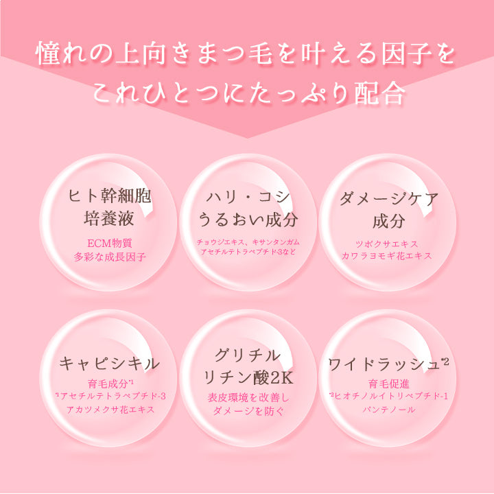 ラッシュノエル SC30 6ml まつ毛美容液 ヒト幹細胞 美容液 ヒト幹細胞培養液Lash Noel