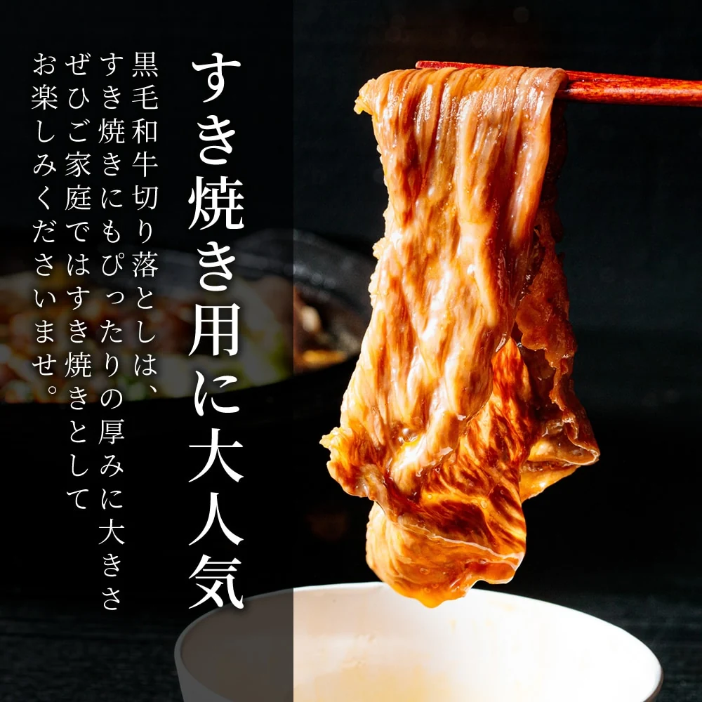 黒毛和牛切り落とし500g×2