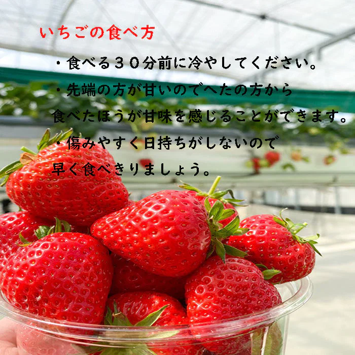 2パック 福岡産 いちご あまおう デラックス