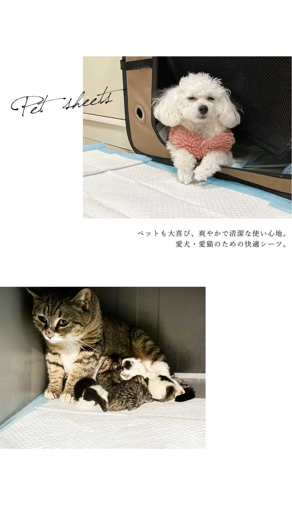 【高吸水性&漏れ防止】＼ スーパーワイド 160枚 ／ペットシーツ トイレシーツ 大判 犬 猫 トイレシート ペットシーツ 超吸水 ペットシーツ 使い捨て ペットシーツ 超吸水力 漏れ防止 防臭効果 高吸収ポリマー ペットシート トイレシート 大容量 猫 トイレ シーツ シート ペットシーツ スーパーワイド