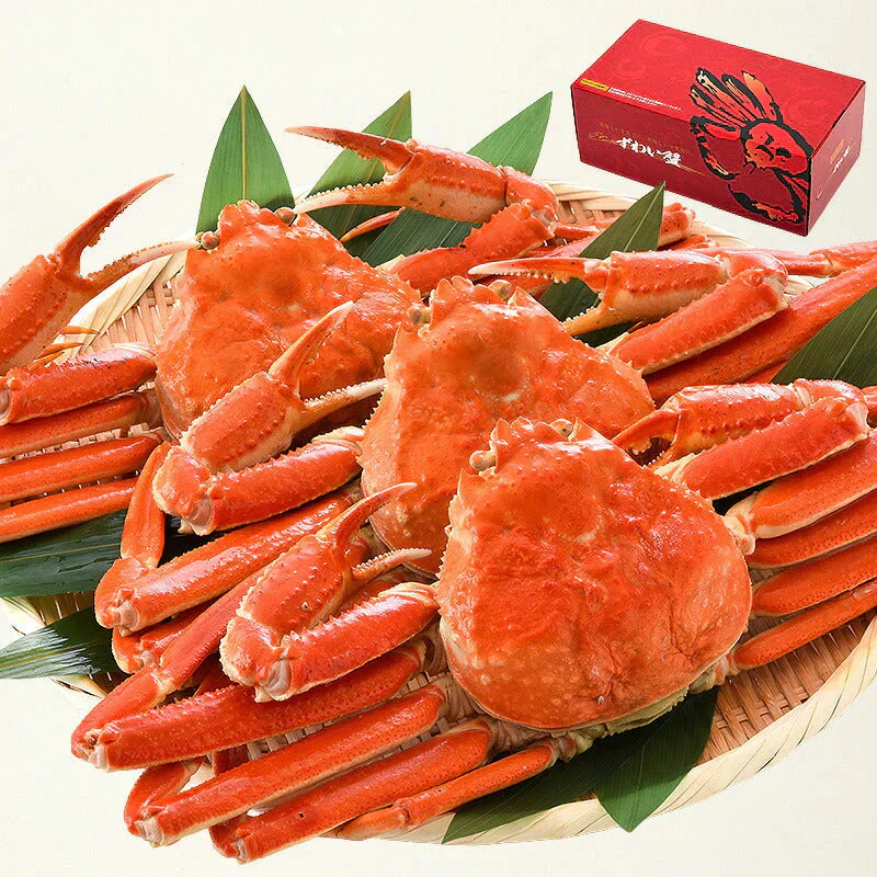 ずわい蟹 姿 600g前後×3尾 ズワイガニ ずわいがに 冷凍蟹 かに 蟹 カニ ずわい ズワイ 冷凍かに 鍋 蟹鍋 かに雑炊 かに汁 カニ雑炊 カニ汁 お取り寄せグルメ 贈り物 ［送料無料］ 母の日 プレゼント ギフト  母の日思いの 健康 実用的 父の日 子供 孫
