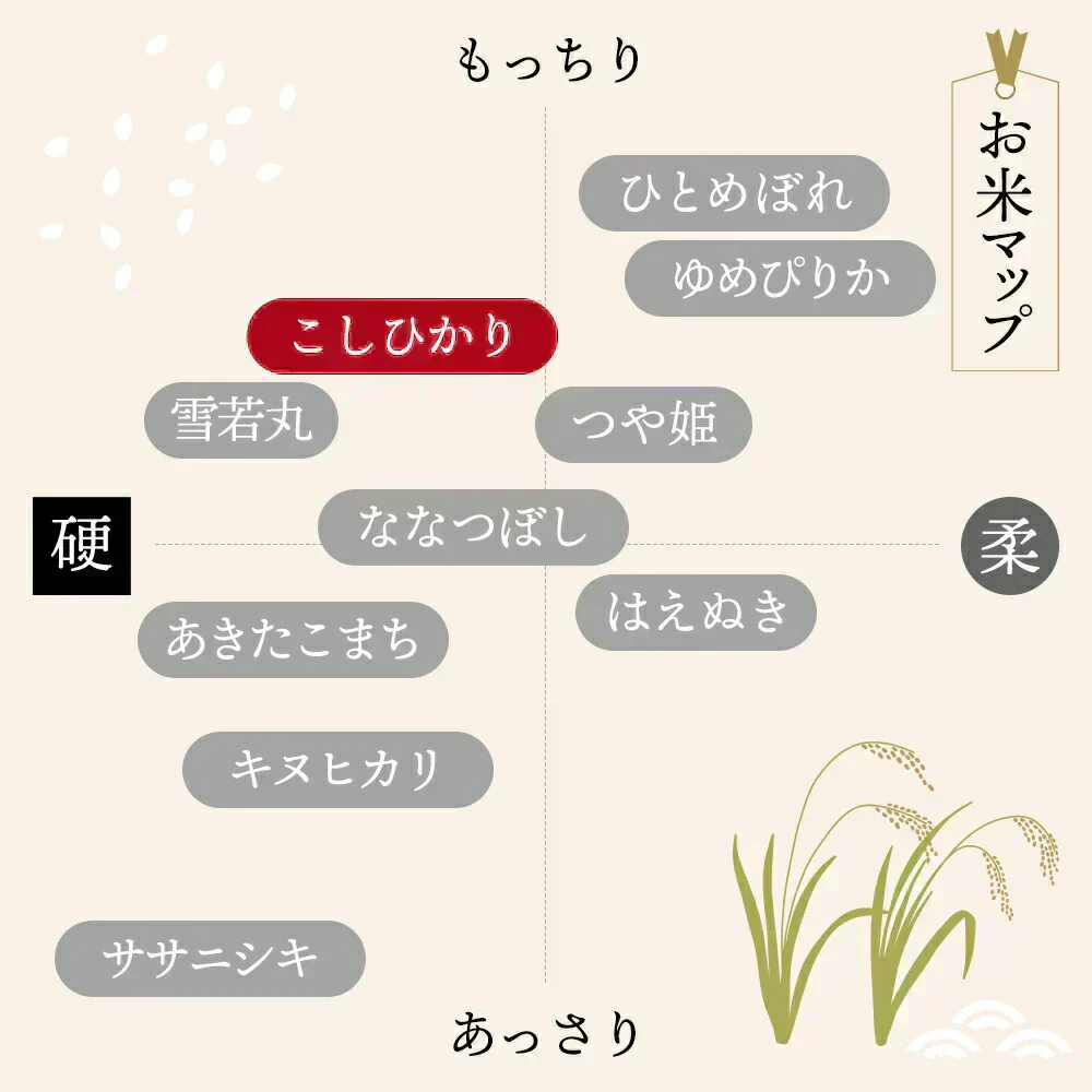 【令和7年】 山形県産 こしひかり 10キロ (精米) 5kg×2袋  送料無料 米 コメ おこめ 新米