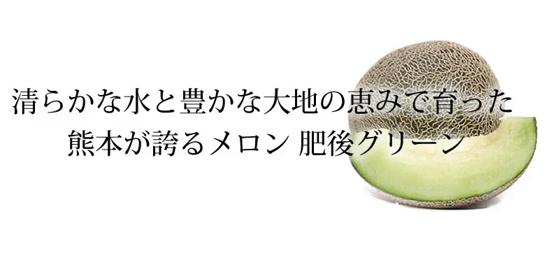 メロン 肥後グリーンメロン 送料無料 1玉 M～3L 熊本県産 肥後グリーン