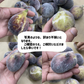 和歌山県産 冷凍いちじく 約１kg 2025年産 ジャム コンポート 訳あり 加工用 いちじく 冷凍
