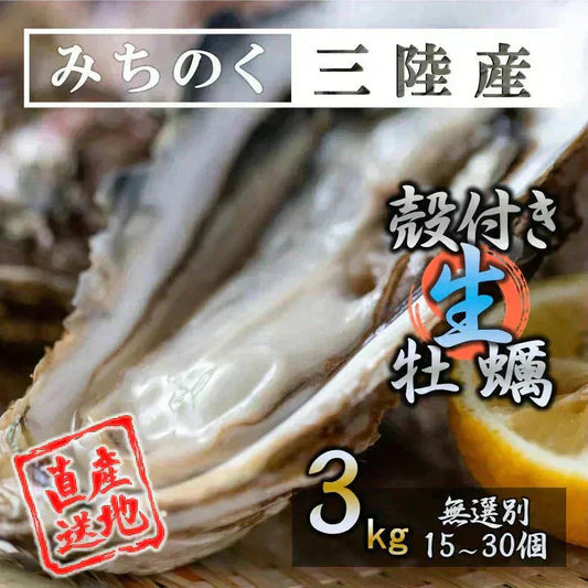 【生食OK】三陸産 殻付き 生牡蠣 3kg 今季初出し 希少 数量限定 新鮮 宮城 石巻 鉄分 ミネラル豊富 希少 貝 魚介類 かき 栄養 海の幸