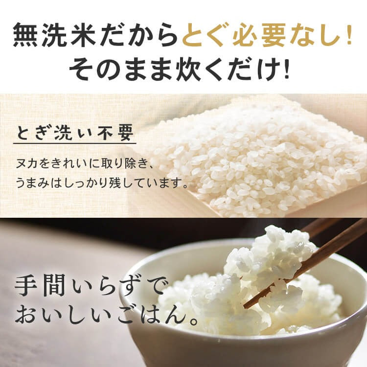 【カートアップNG】【ご新規さんとシェア買い】アイリスオーヤマ 低温製法米 無洗米 新潟県産こしひかり チャック付き 2kg