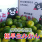 熊本産 みかん 訳あり 約10kg（箱込10kg 9kg+保証分500g）ご家庭用 送料無料