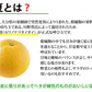【2月下旬～3月上旬頃より順次出荷】甘夏 みかん 訳あり 10kg 箱込 (内容量9kg+補償500g)  送料無料 サイズ無選別 熊本県産 あまなつ 川野夏橙 蜜柑