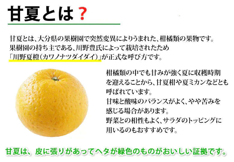 【2月下旬～3月上旬頃より順次出荷】甘夏 みかん 訳あり 10kg 箱込 (内容量9kg+補償500g)  送料無料 サイズ無選別 熊本県産 あまなつ 川野夏橙 蜜柑