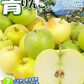 特選 青りんご 10kg 品種おまかせ  青森産 ご家庭用【10月上旬発送】