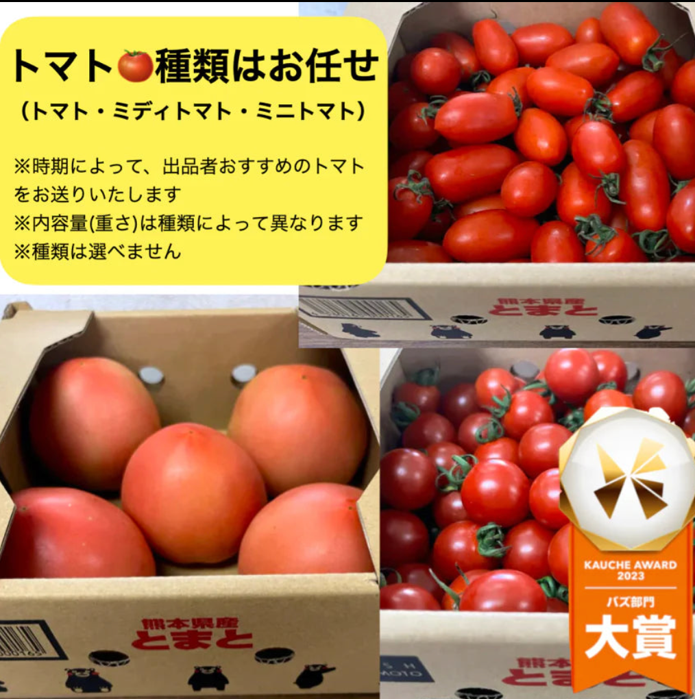 トマト🍅（トマト・ミディトマト・ミニトマトなど種類は出品者おまかせ）送料無料【ご新規さん限定商品】60サイズ