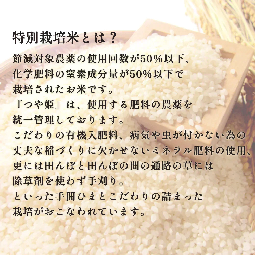 米 5kg つや姫  精米 山形県産 送料無料 ギフト 令和6年産 単一原料米 ブランド米 こめ コメ 白米 産地直送 kkb-002