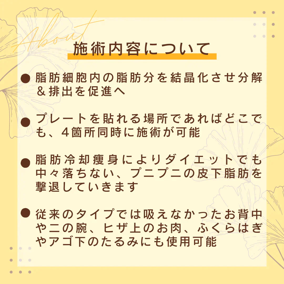 脂肪冷却痩身4Eクールプレート45分　4枚プレート＋EMS 【美容サロンチケット】美容 / エステ / 痩身/ 大阪 / 福島/セルリアンブルー