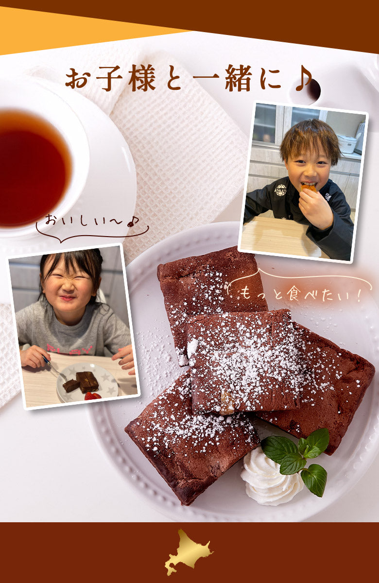 .濃厚ショコラブラウニー5個.【DS08】