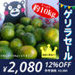 【9月中旬発送予定】熊本産 みかん 訳あり 約10kg（箱込10kg：9kg+保証分500g）ご家庭用 送料無料【ゲリラセール】