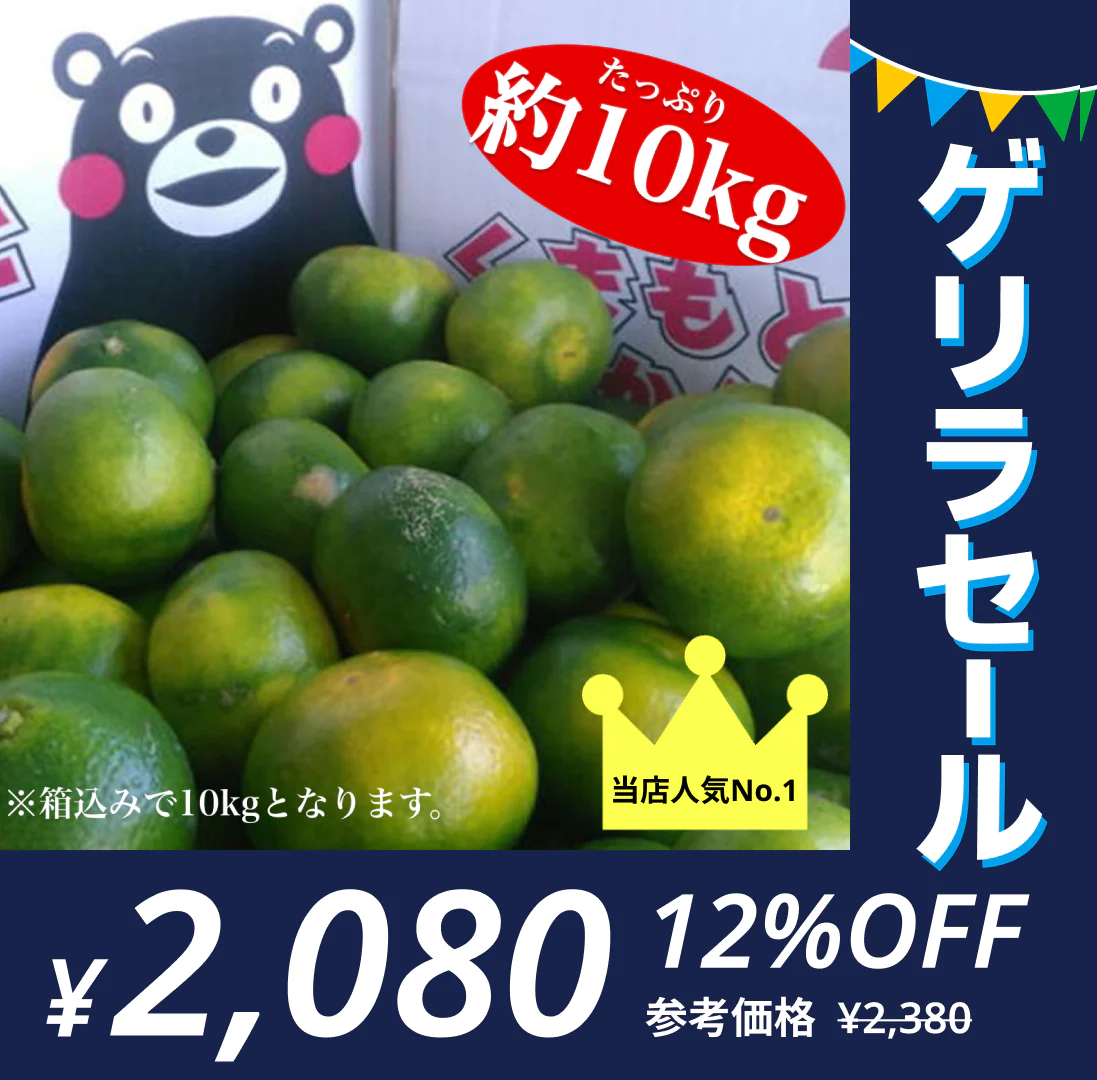 【9月中旬発送予定】熊本産 みかん 訳あり 約10kg（箱込10kg：9kg+保証分500g）ご家庭用 送料無料【ゲリラセール】