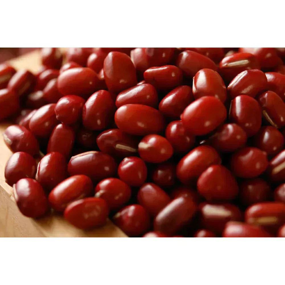 小豆 北海道産 950g 令和6年産 2等級チャック付袋