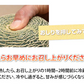 メロン 肥後グリーンメロン 送料無料 2玉 約3～4kg M～3L 熊本県産 肥後グリーン