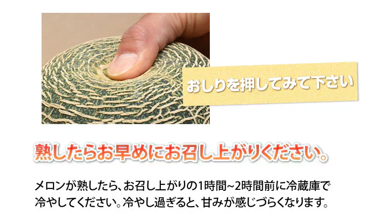 メロン 肥後グリーンメロン 送料無料 2玉 約3～4kg M～3L 熊本県産 肥後グリーン