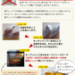 【熊本コレクション】さつまいも 種子島産 訳あり 安納芋 1.5kg 送料無料 長期熟成 お菓子 薩摩芋 さつま芋 あんのういも サツマイモ (サイズ大中小不揃い)焼き芋《3-7営業日以内に発送予定(土日祝日除く)》