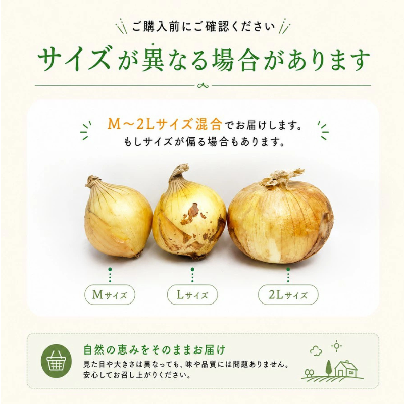 [みさわのやさい] 玉ねぎ 淡路島 3kg サイズお任せ(M〜2L) 国産 皮茶 玉葱 たまねぎ タマネギ 皮 保存野菜 常備野菜