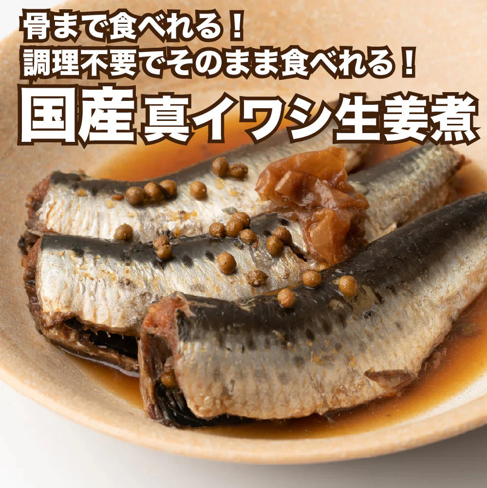 【20尾（10尾×2P）】国産 いわしの生姜煮 30g×10本×2P ＜賞味期限10月5日まで・在庫限りで販売終了＞