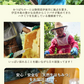 はちみつ 国産100％ 天然ハチミツ 食べ比べ 選べる 5種類ミックス スティックタイプ 30本入り(5種類×6本) 混ぜ物なし 非加熱 蜂蜜 使い切り 個包装ハチミツ 蜂蜜 国産 無添加 ギフト はちみつ プチギフト