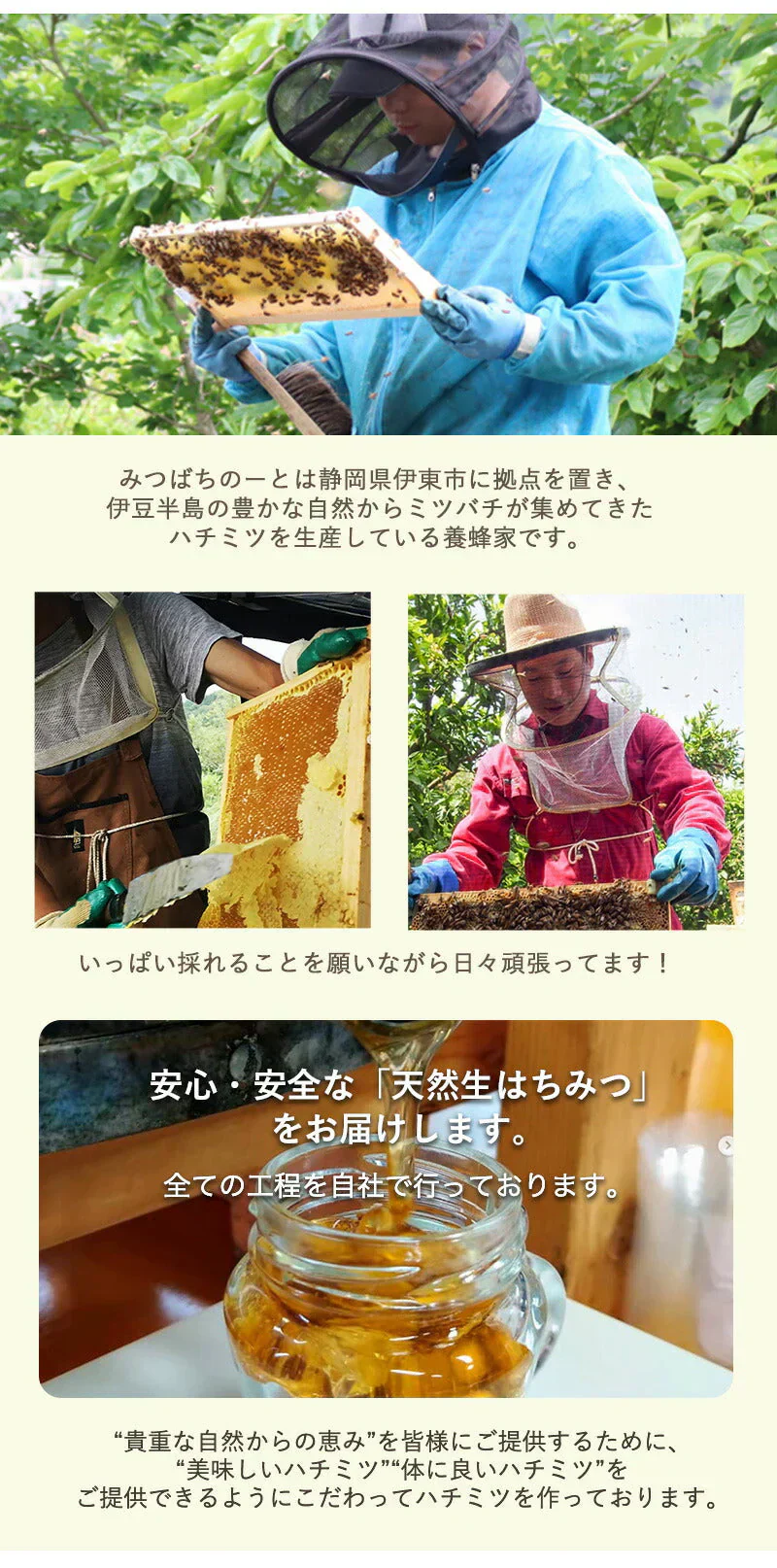 はちみつ 国産100％ 天然ハチミツ 食べ比べ 選べる 5種類ミックス スティックタイプ 30本入り(5種類×6本) 混ぜ物なし 非加熱 蜂蜜 使い切り 個包装ハチミツ 蜂蜜 国産 無添加 ギフト はちみつ プチギフト