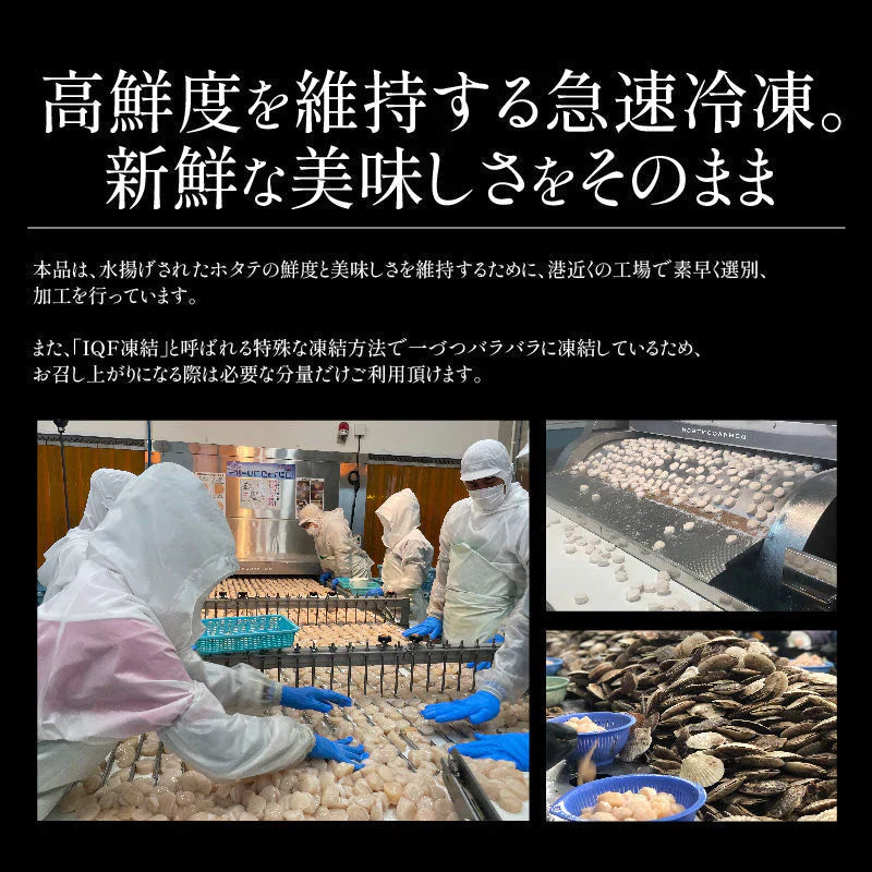 大粒サイズ厳選！ ホタテ 貝柱 500g 大粒 ほたて 帆立 正規品 冷凍ホタテ 肉厚 甘い ホタテ貝 ホタテ貝柱 冷凍 美味しい 1キロ 北海道 グルメ 海産物 海鮮 貝 お取り寄せグルメ 緊急支援品