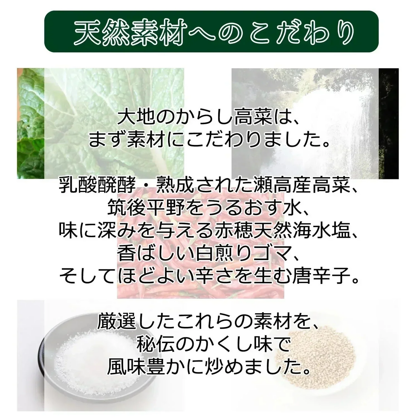 【300g】本場福岡県産 辛子高菜 大地のからし高菜  高菜漬け ピリ辛 ご飯のお供 風味豊か 保存食 おにぎり お茶漬け 豚骨ラーメン 炒飯 おつまみ 漬物 国産 常備菜 お弁当 惣菜 食物繊維