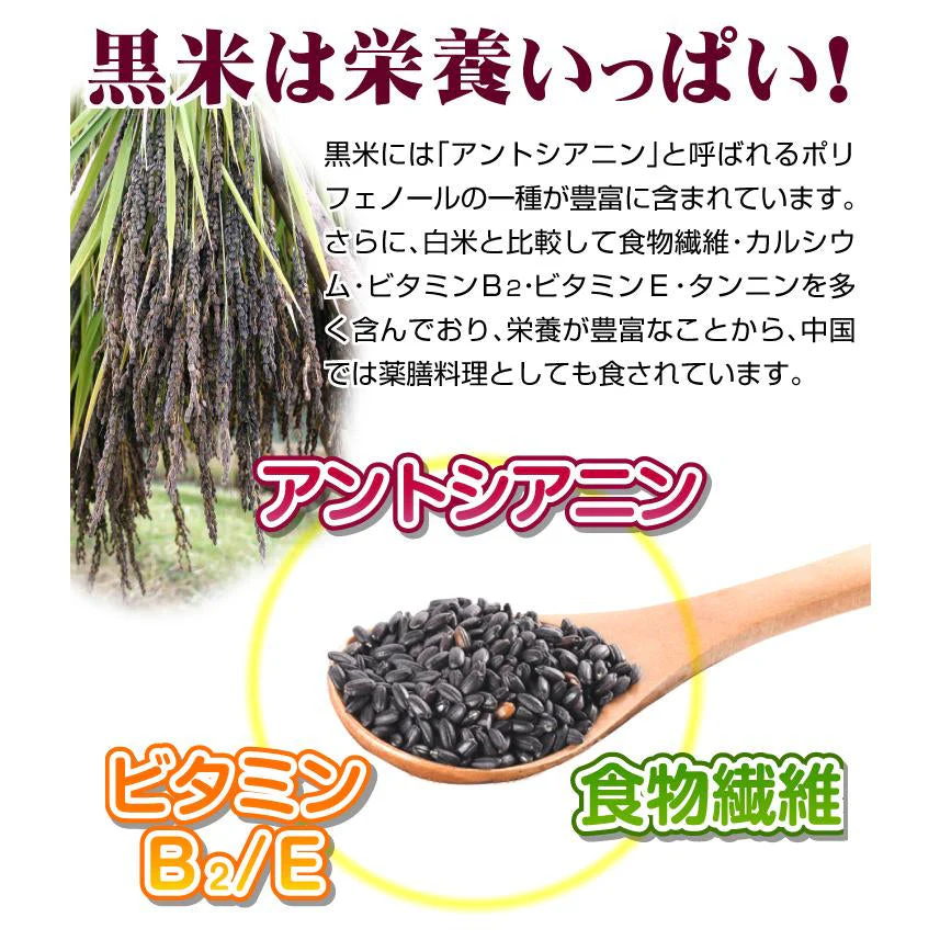 黒米 1kg 1袋 秋田産 白神古代米 もち玄米【2025年1月中旬より発送】