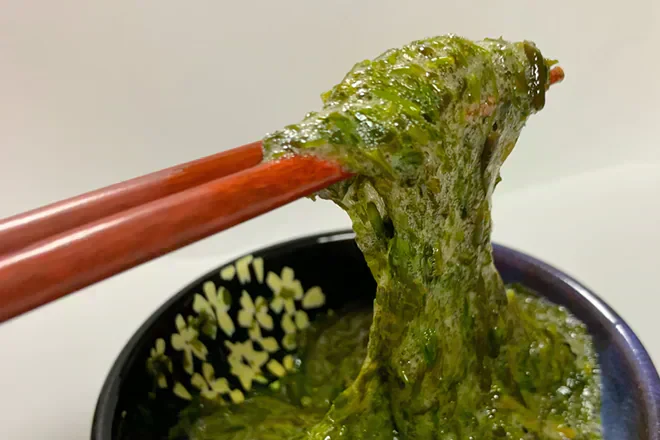 【２袋】伊勢志摩湾産乾燥刻みアカモク／TVで話題のネバネバ食品「アカモク」／常温だから保存に便利！／大注目のスーパーフード！