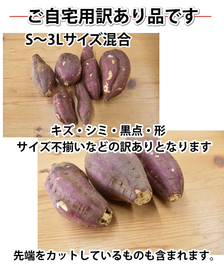 【10月下旬～11月上旬頃より順次出荷】さつまいも シルクスイート 訳あり 1.5kg 送料無料 熊本・宮崎県産 サツマイモ 春こがね 紅まさり 焼き芋 芋