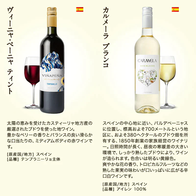金賞入り 欧州限定 赤 白 泡 ワイン パーティーパック 12本 飲み比べ セット [W]