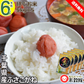 お米、まとめてお得♪ 令和6年産 千葉県産 ふさこがね 研ぐお米 25kg 5kg×5個 精米