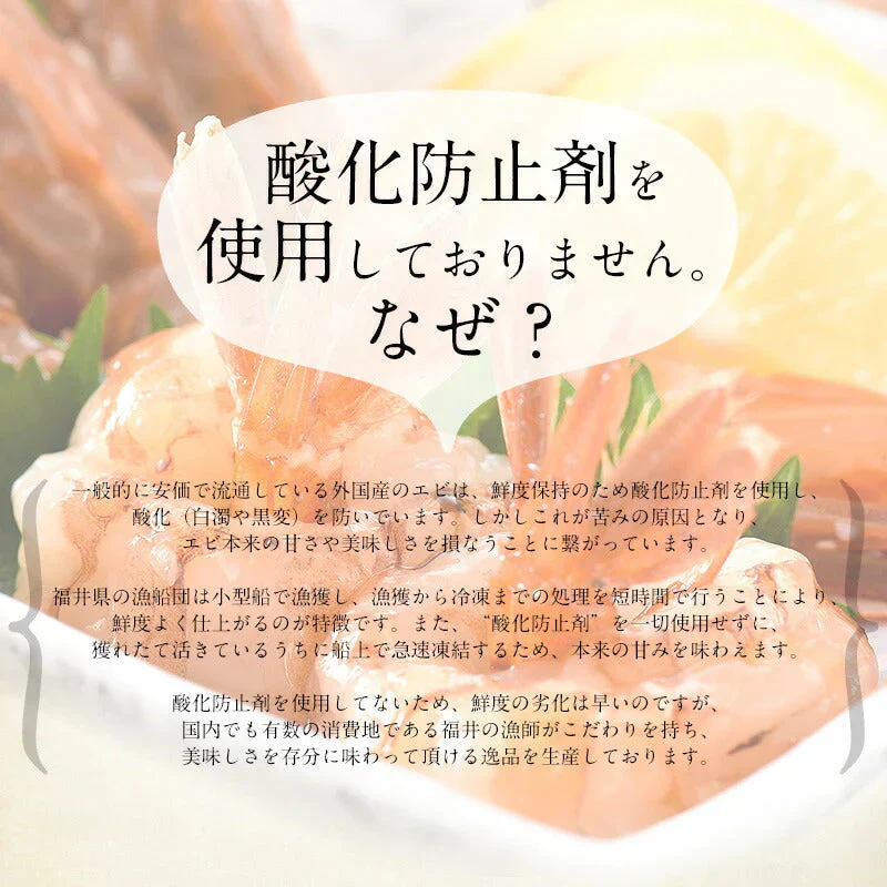 越前産 がらえび 1kg（500g×2箱）約70尾入り ガラエビ［送料無料］ えび 冷凍 エビ 冷凍えび 美味しい 冷凍エビ 甘い 冷凍海老 産地直送 国産 福井県 お刺身 お徳用 贈り物 ごちそう 贈答 母の日 プレゼント ギフト  母の日思いの 健康 実用的 父の日 子供 孫
