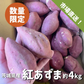 茨城県産 紅あずま 約４kg M〜Lサイズ 短丸規格 さつまいも サツマイモ 焼き芋 国産 さつま芋 ベニアズマ