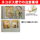 サンヨー堂 果実ゼリー ２袋セット☆みかん400g×2袋☆ネコポス便　送料込
