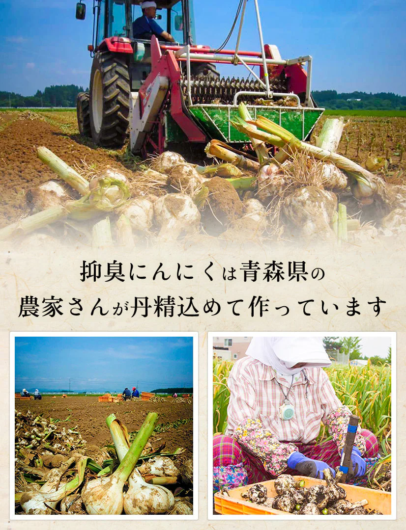 青森県産 特別栽培 にんにく 500g