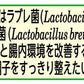 カゴメ ラブレ プレーン 植物性乳酸菌飲料 80ml×36本［3本×12パック］［機能性表示食品］北海道、沖縄、離島は送料無料対象外［賞味期限：製造日から29日］［送料無料］【3?4営業日以内に出荷】