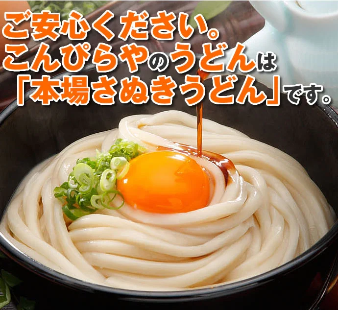 本場さぬきうどん「讃岐麺維新」（50人前）つゆ無し