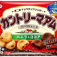 【送料無料】不二家 カントリーマアム（バニラ＆ココア）18枚×18袋