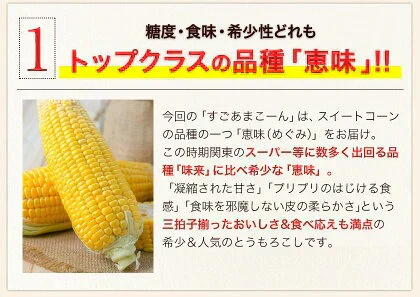 【TVで紹介】とうもろこし 卯野農場 すごあまこーん 12本入り 【3L~Lサイズ / 約3.6kg-4.8kg前後】  朝採り スイートコーン 《7-14営業日以内に発送予定（土日祝除く）》
