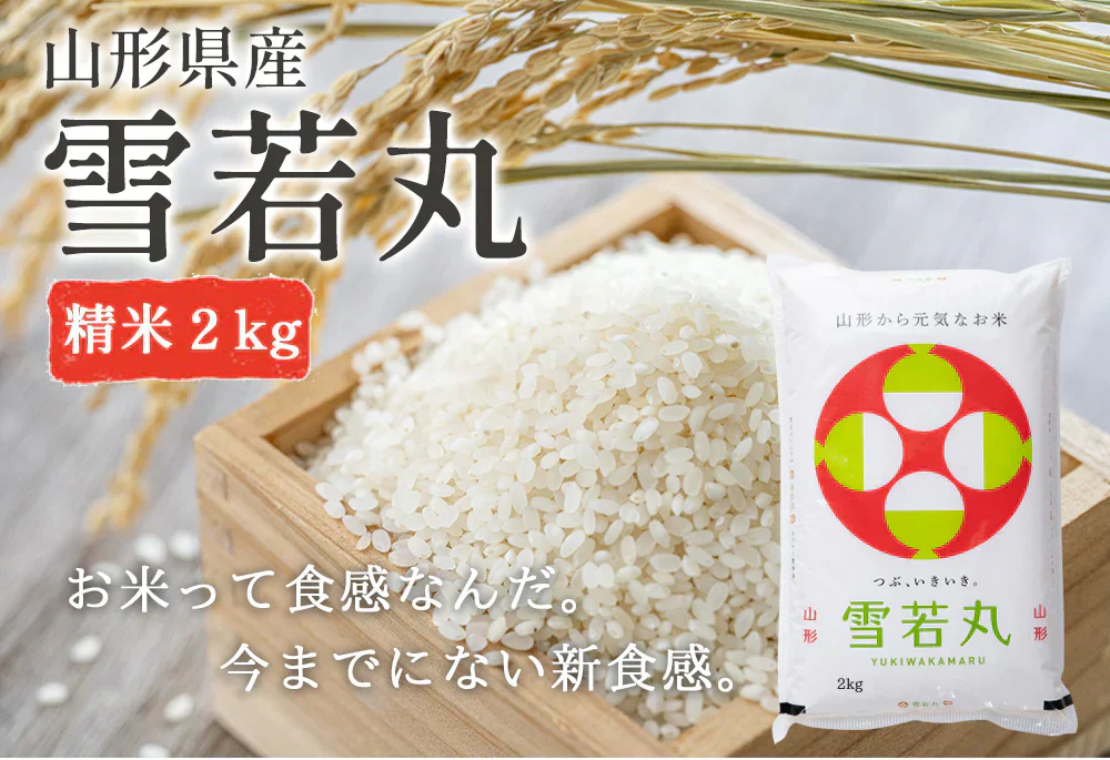 米 2kg 雪若丸 精米 山形県産 送料無料 令和6年産 ギフト 単一原料米 ブランド米 こめ コメ 白米 産地直送 kkb-004