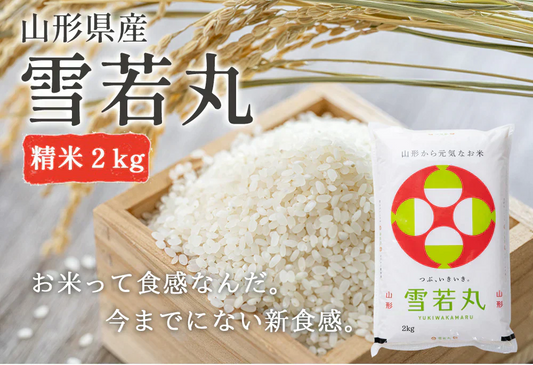 米 2kg 雪若丸 精米 山形県産 送料無料 令和6年産 ギフト 単一原料米 ブランド米 こめ コメ 白米 産地直送 kkb-004